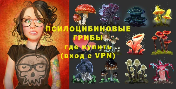 прущий лед Абаза